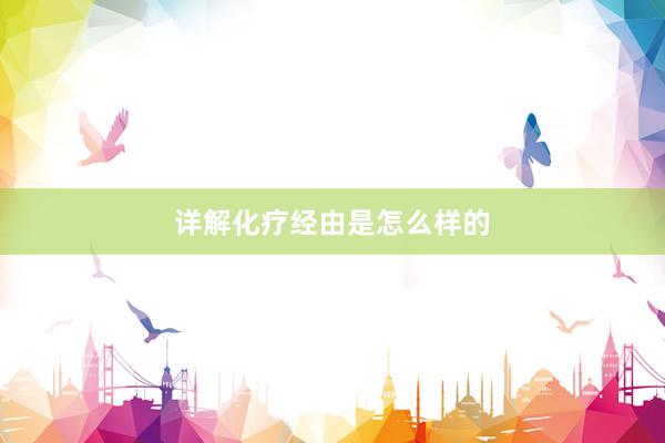 详解化疗经由是怎么样的