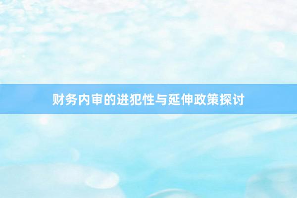 财务内审的进犯性与延伸政策探讨